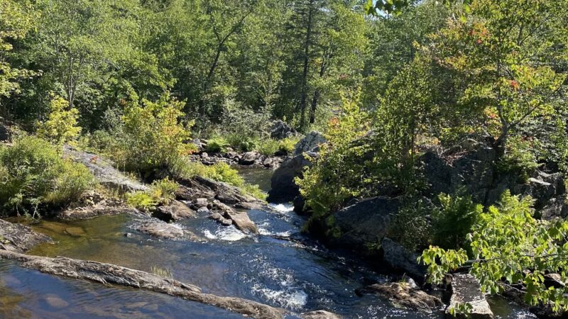 Saco Falls Town Park and Preserve - Columbia, ME