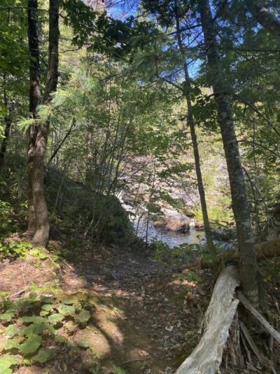 Saco Falls Town Park and Preserve - Columbia, ME