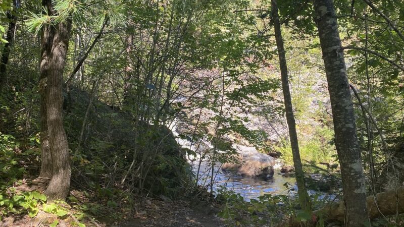 Saco Falls Town Park and Preserve - Columbia, ME