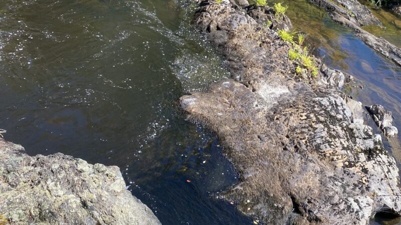 Saco Falls Town Park and Preserve - Columbia, ME