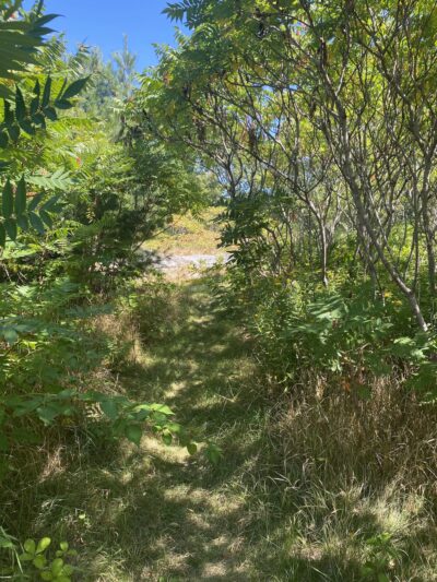Saco Falls Town Park and Preserve - Columbia, ME