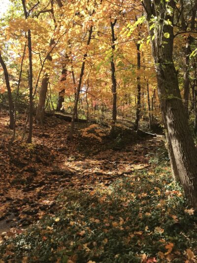 John A. Stewart Park - Columbia, MO