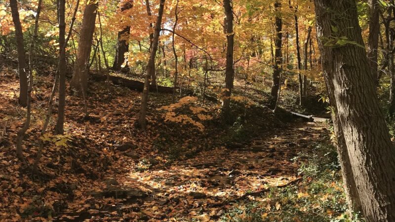 John A. Stewart Park - Columbia, MO
