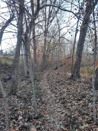 John A. Stewart Park - Columbia, MO