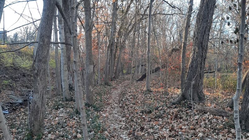 John A. Stewart Park - Columbia, MO