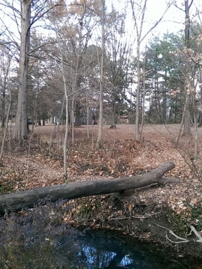 John A. Stewart Park - Columbia, MO