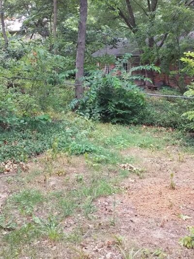 M-K-T Trail Plaza - Columbia, MO