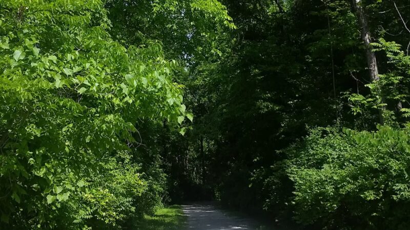 M-K-T Trail Plaza - Columbia, MO