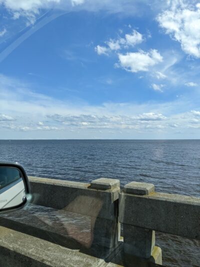 Alligator River Game Land - Columbia, NC