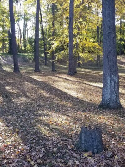 Dinglewood Park - Columbus, GA