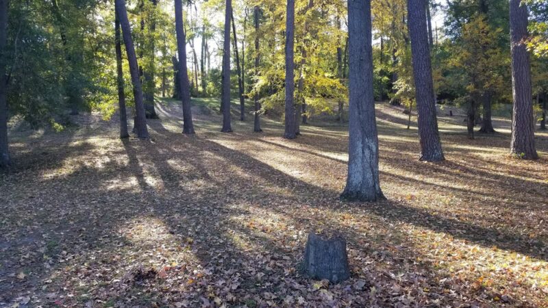 Dinglewood Park - Columbus, GA