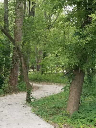 Monkey Run Park - Columbus Junction, IA