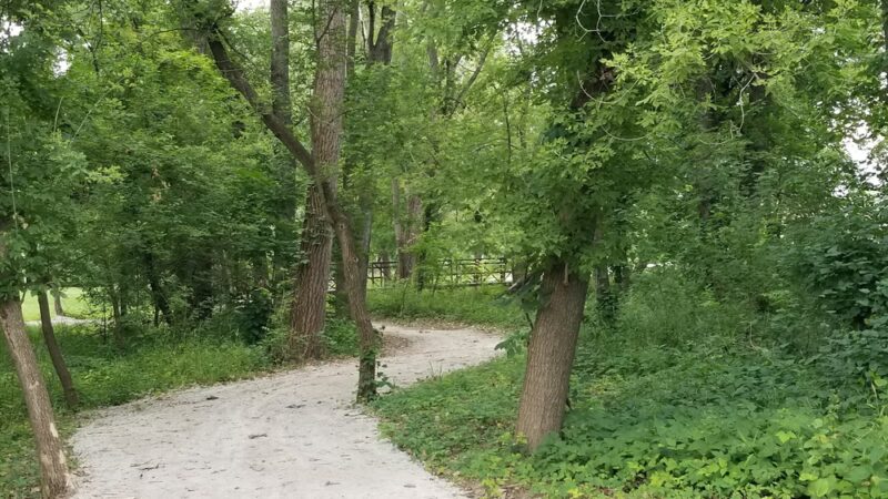 Monkey Run Park - Columbus Junction, IA