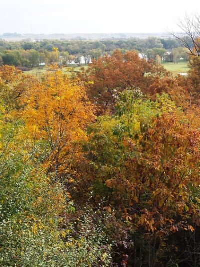 Chinkapin Bluffs Recreation Area - Columbus Junction, IA