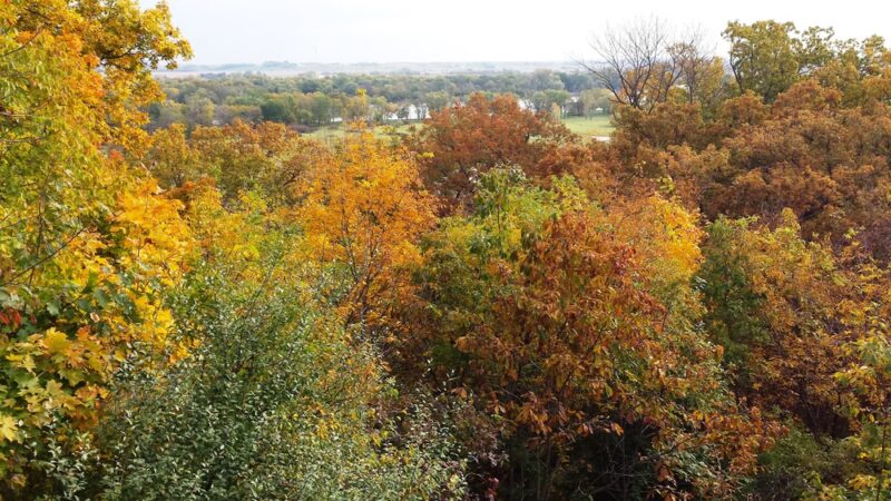 Chinkapin Bluffs Recreation Area - Columbus Junction, IA