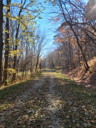 Chinkapin Bluffs Recreation Area - Columbus Junction, IA