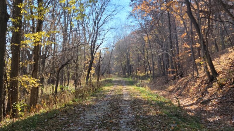 Chinkapin Bluffs Recreation Area - Columbus Junction, IA