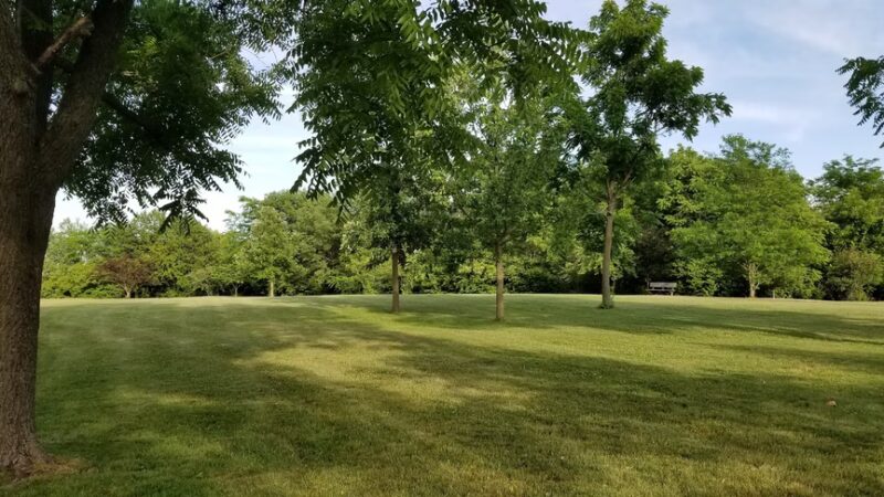 Chinkapin Bluffs Recreation Area - Columbus Junction, IA