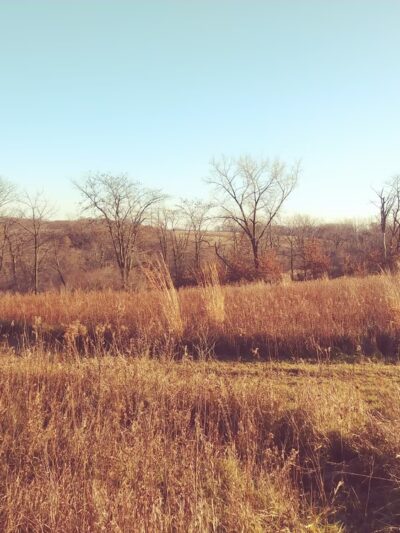 Eden Park - Columbus Junction, IA