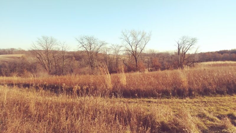 Eden Park - Columbus Junction, IA