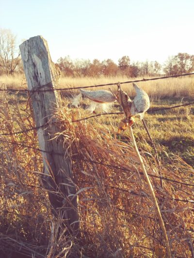 Eden Park - Columbus Junction, IA
