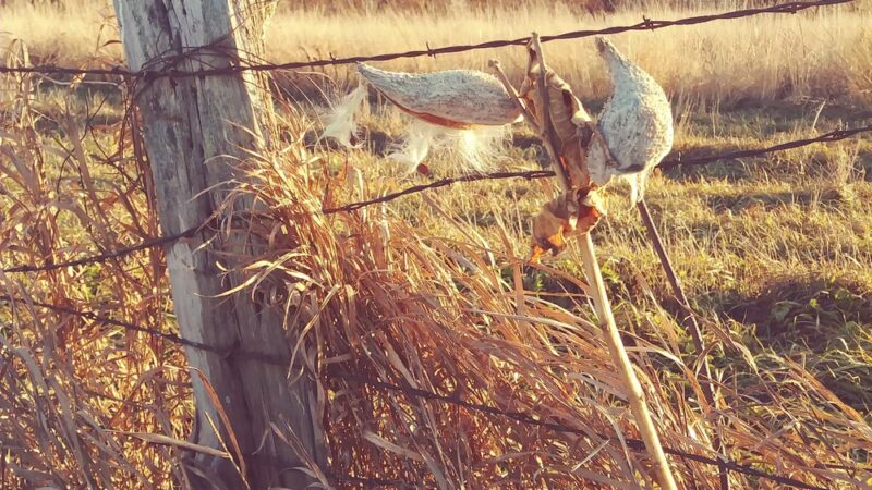 Eden Park - Columbus Junction, IA