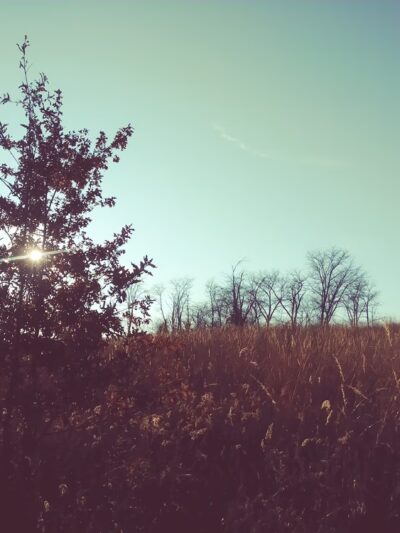 Eden Park - Columbus Junction, IA