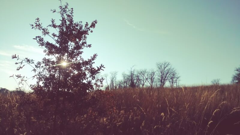 Eden Park - Columbus Junction, IA