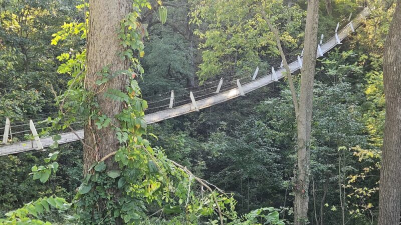 Swinging Bridge Park - Columbus Junction, IA