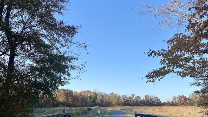 Arney's Mount Park - Columbus, NJ