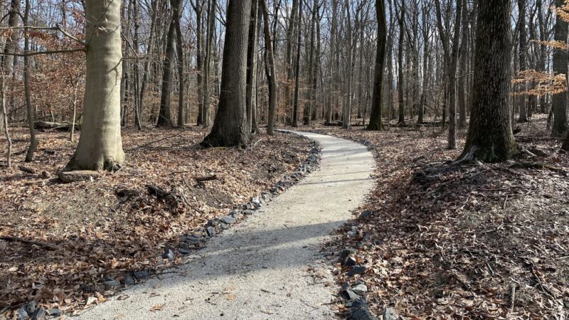 Arney's Mount Park - Columbus, NJ