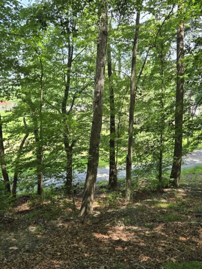 Arney's Mount Park - Columbus, NJ