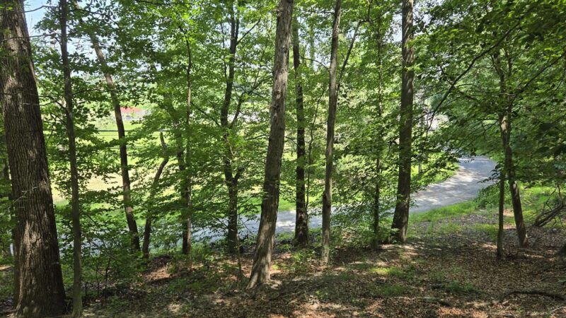 Arney's Mount Park - Columbus, NJ