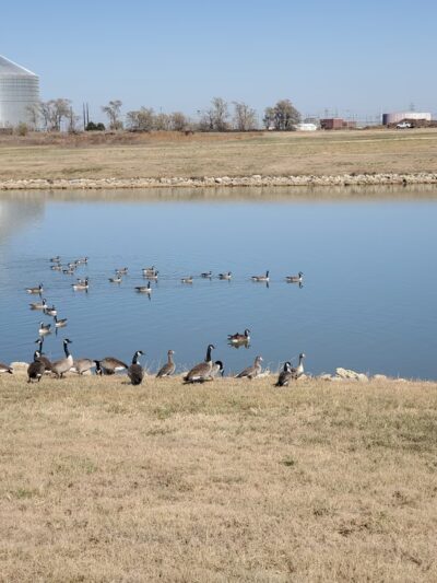 Colwich City Park - Colwich, KS