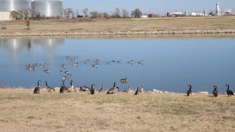 Colwich City Park - Colwich, KS