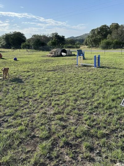 Dog park - Comfort, TX