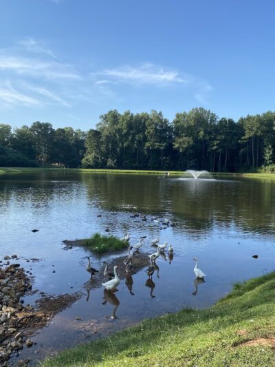 American Veterans Memorial Park - Commerce, GA