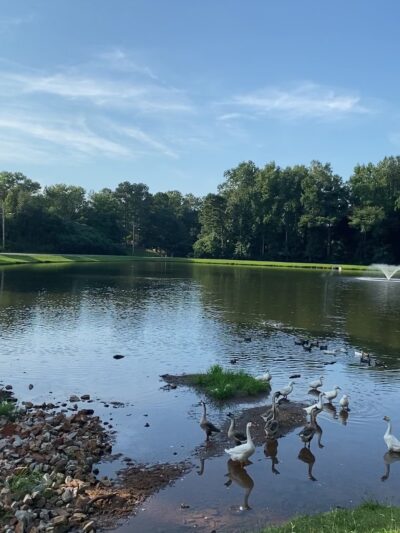 American Veterans Memorial Park - Commerce, GA