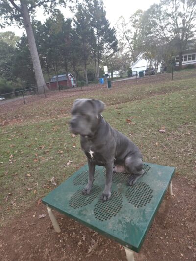 Willoughby Park - Commerce, GA