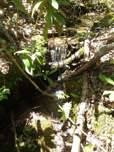 Willoughby Park - Commerce, GA