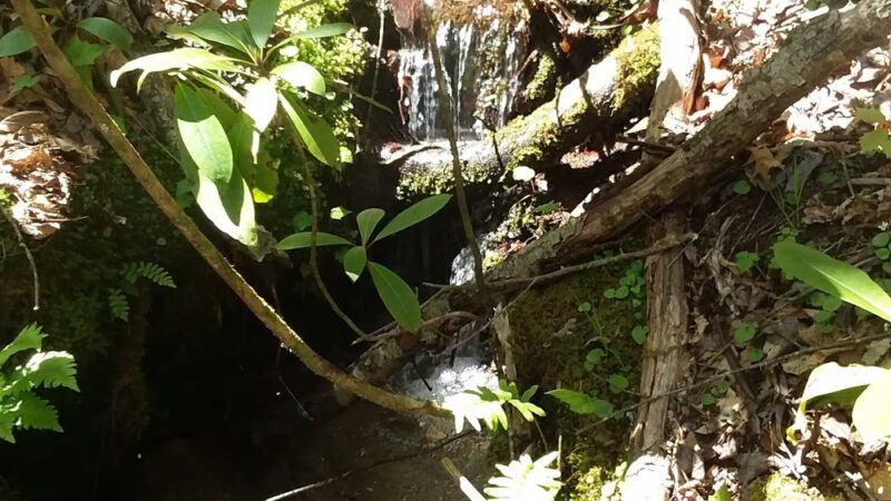 Willoughby Park - Commerce, GA