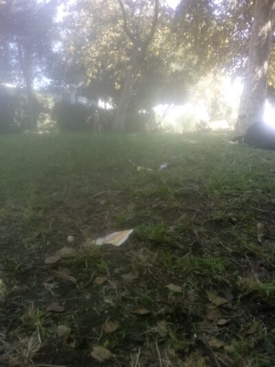 Washington Avenue Park - Compton, CA