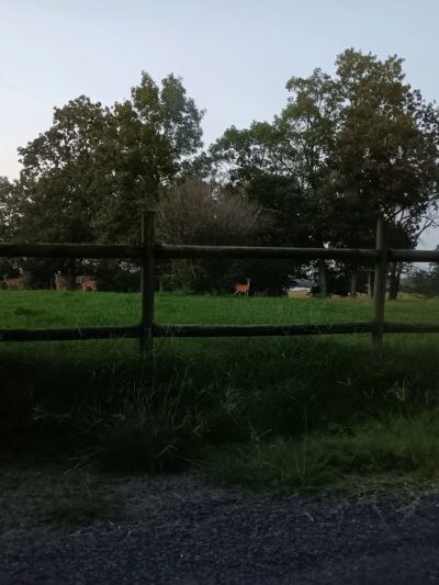 Concord Park - Concord, AR
