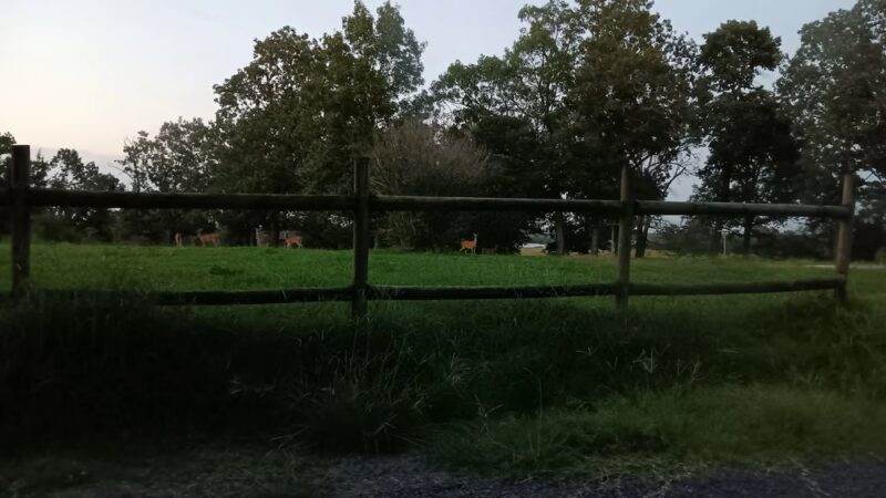 Concord Park - Concord, AR