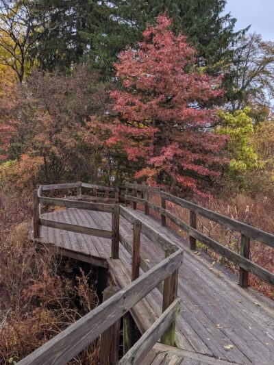 Chamberlin Park - Concord, MA