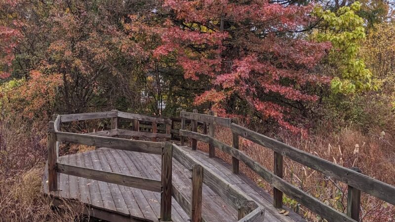 Chamberlin Park - Concord, MA