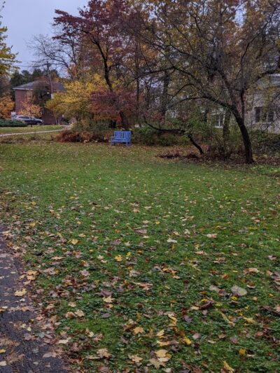 Chamberlin Park - Concord, MA