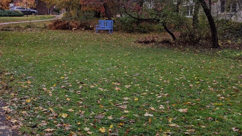Chamberlin Park - Concord, MA