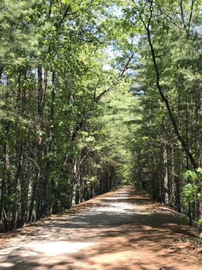 Reformatory Branch Rail Trail - Concord, MA