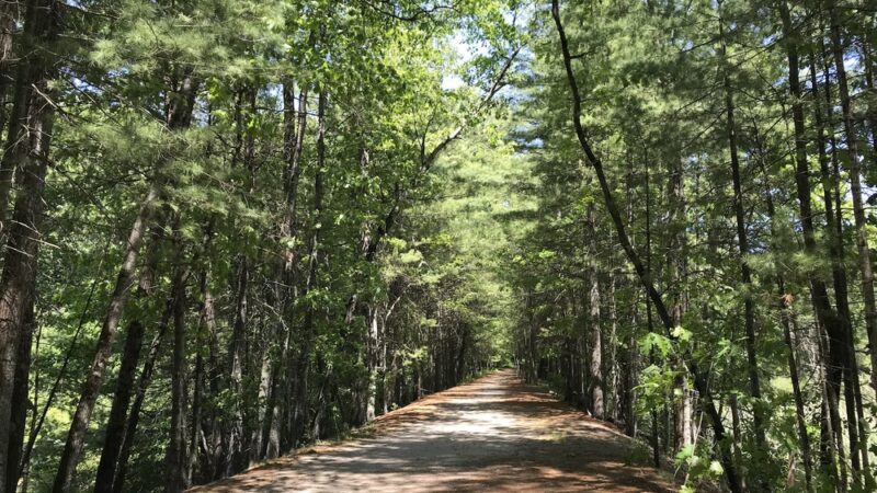 Reformatory Branch Rail Trail - Concord, MA